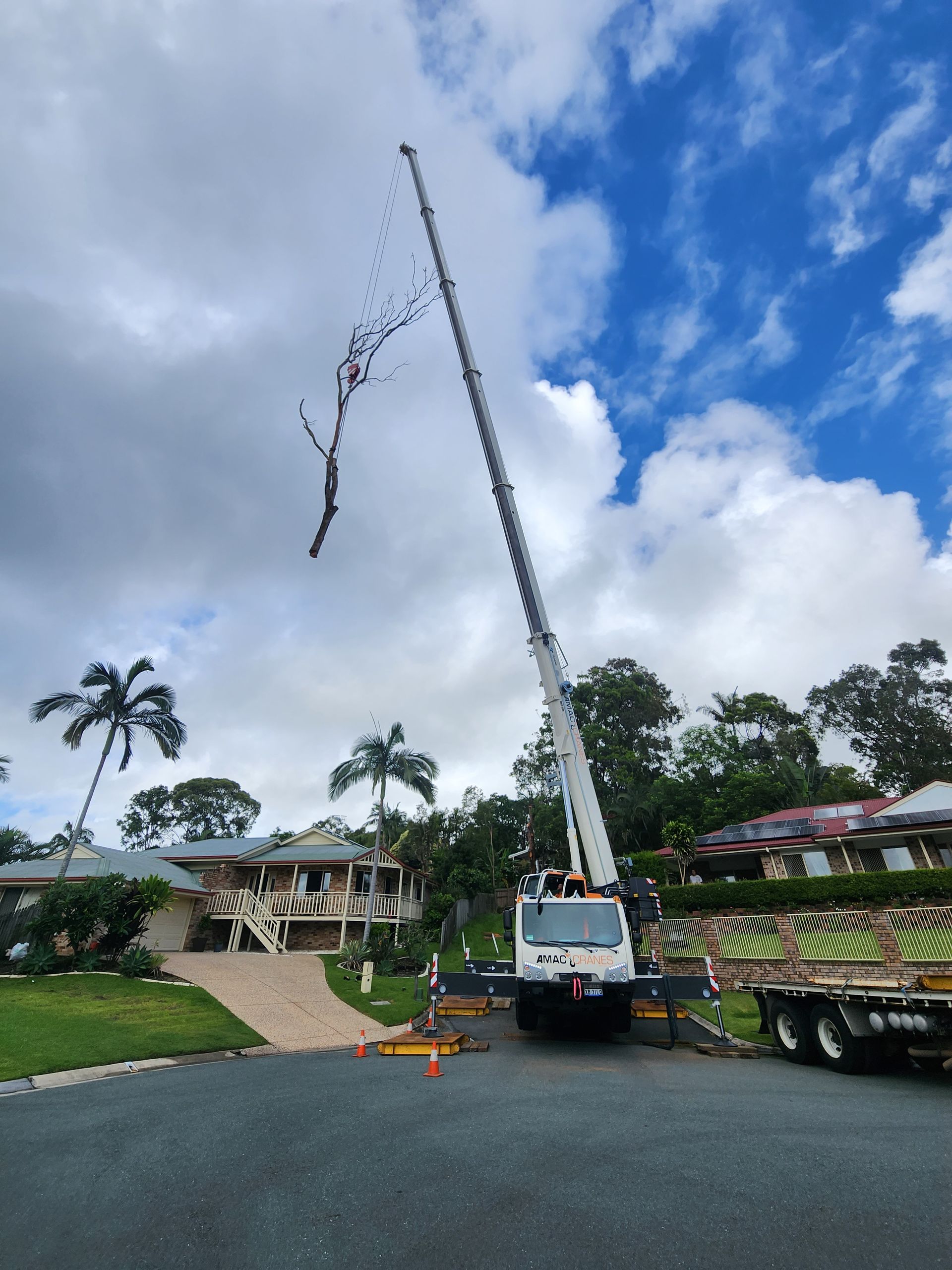 A Crane Is Lifting a Large Piece of Wood in The Air — AMAC Cranes in Coolum Beach, QLD