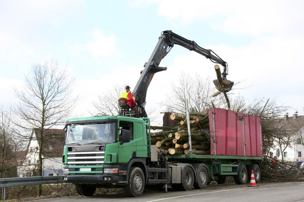 A Green Truck Is Carrying Logs on A Trailer — AMAC Cranes in Coolum Beach, QLD