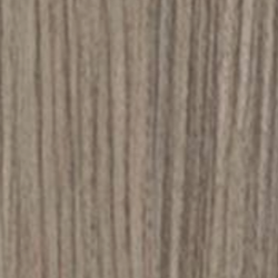 Hemlock