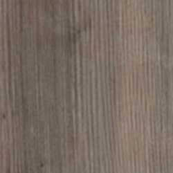 Close-up of gray-brown wood grain texture