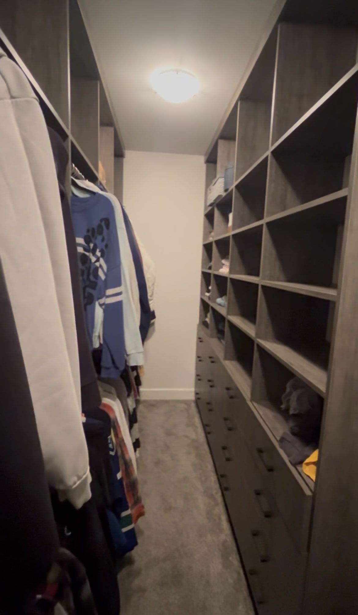 Walk-in closet with shelves, hanging clothes, drawers, and a ceiling light.
