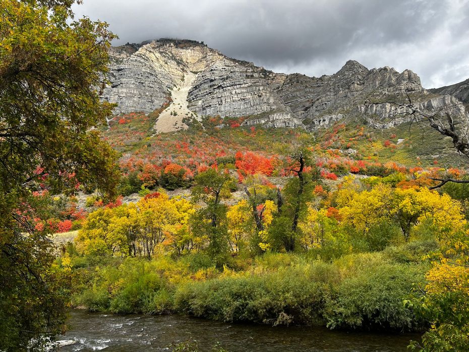 Autumn mountain landscape: colorful trees below rocky peaks, a river in foreground under a cloudy sky.