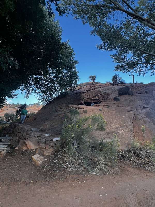 Slickrock and trees along a trail near the homestead
