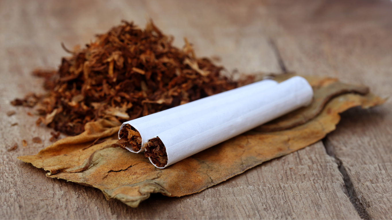 White cigarette with loose tobacco on a dried leaf on a wooden surface