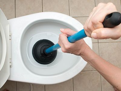 toilet issue