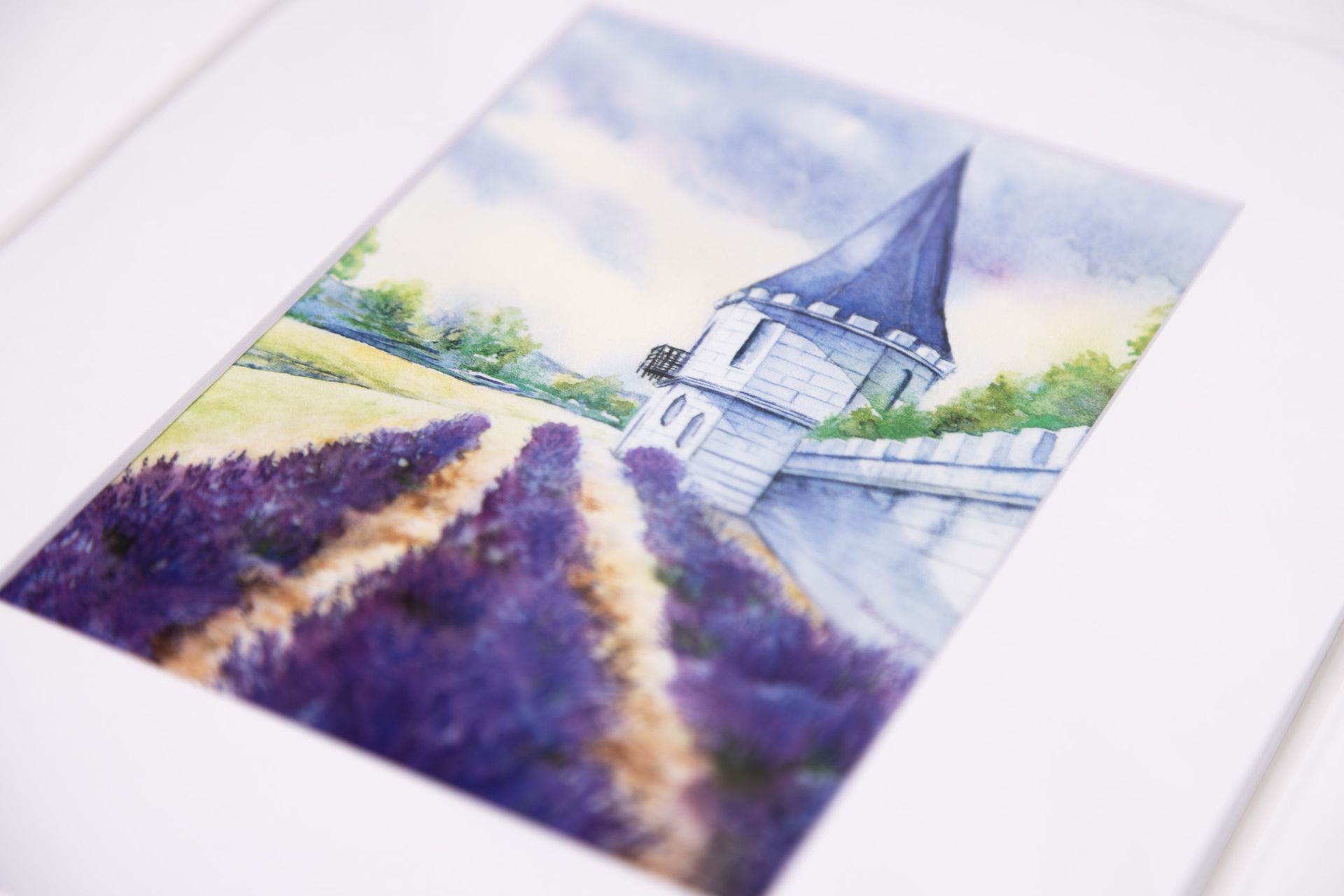 Lavender field with tower and white wall.