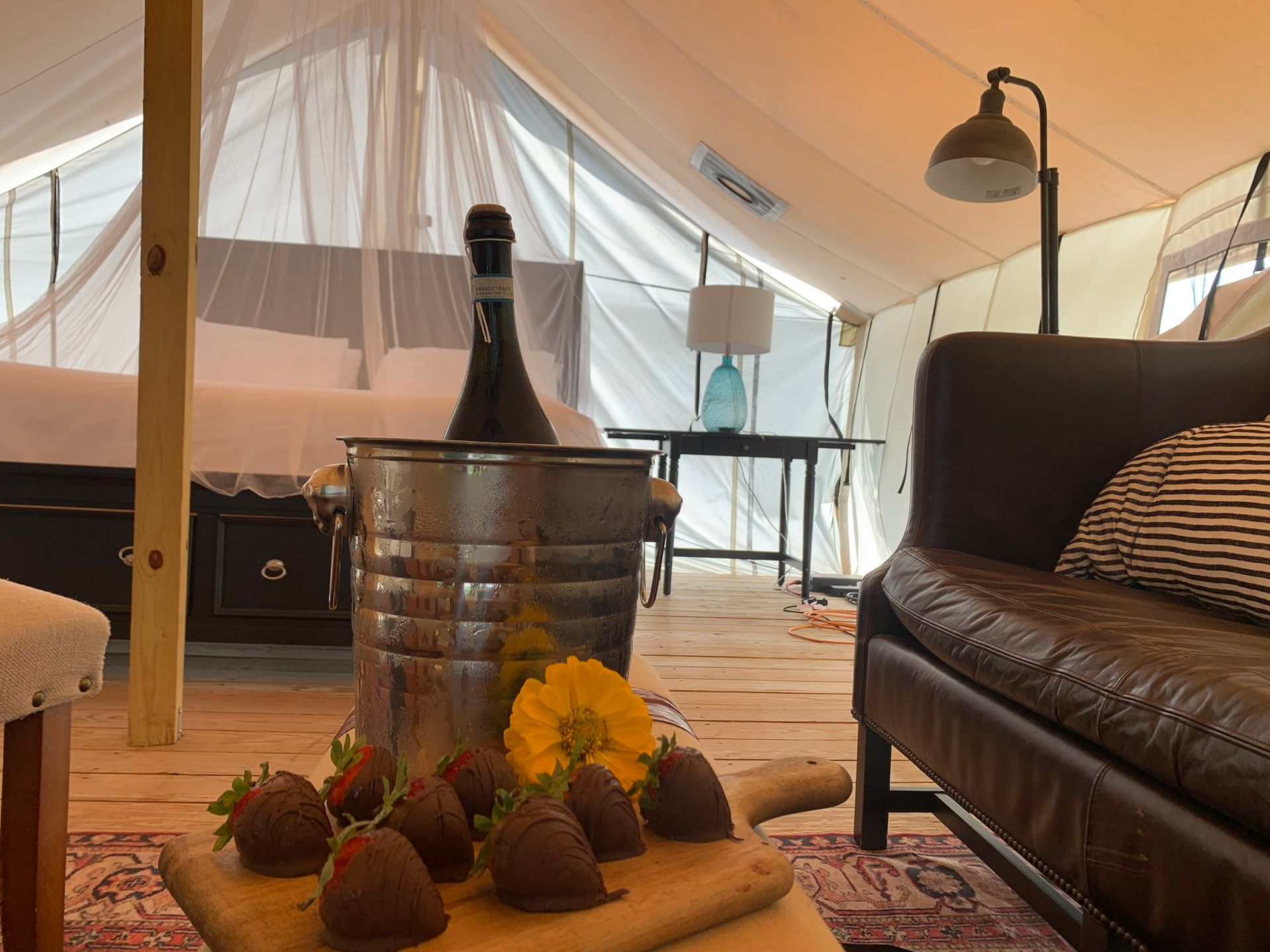 Glamping tent interior: Champagne, chocolate-covered strawberries, leather couch, bed with white linens.