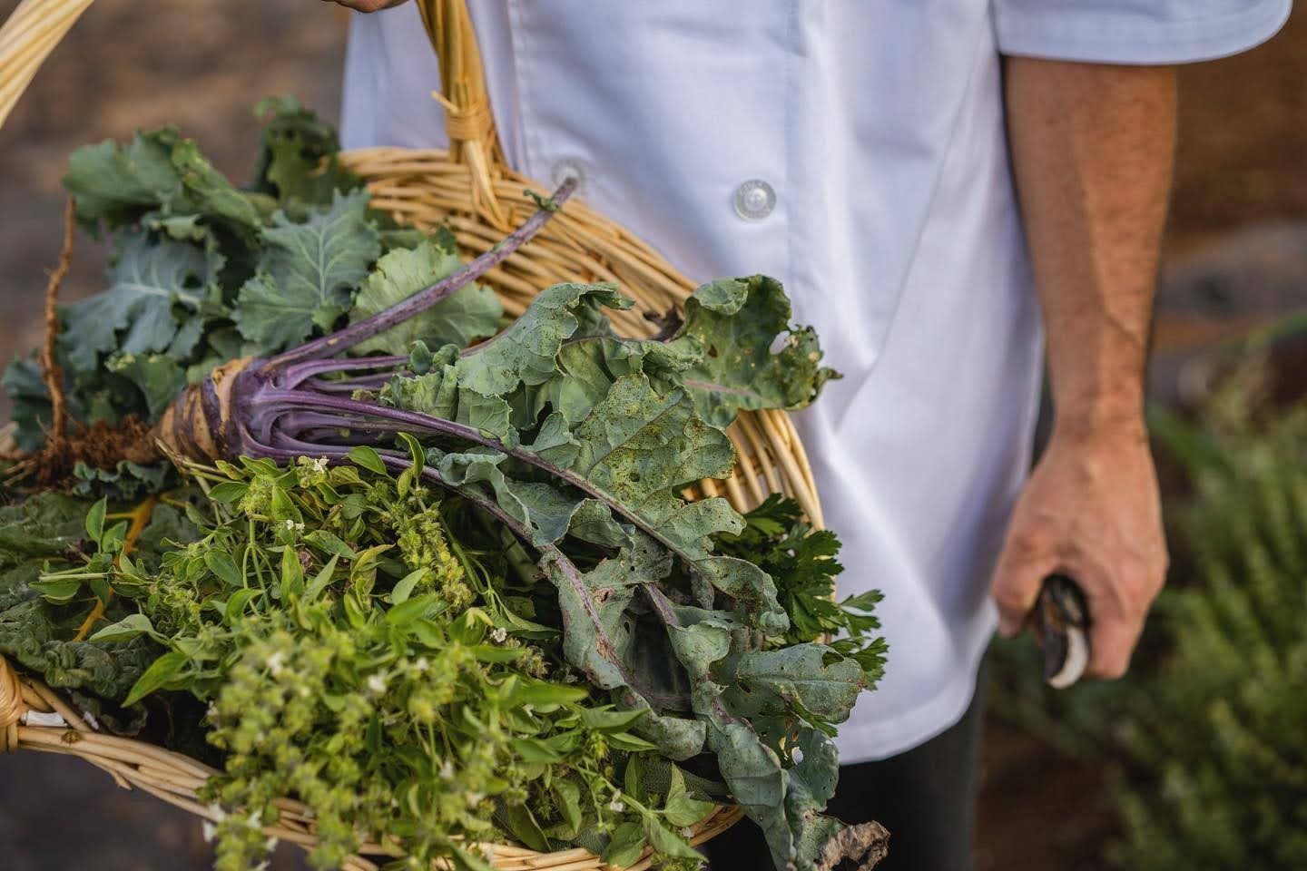 Chef holding a basket of fresh leafy greens, wearing a white coat.