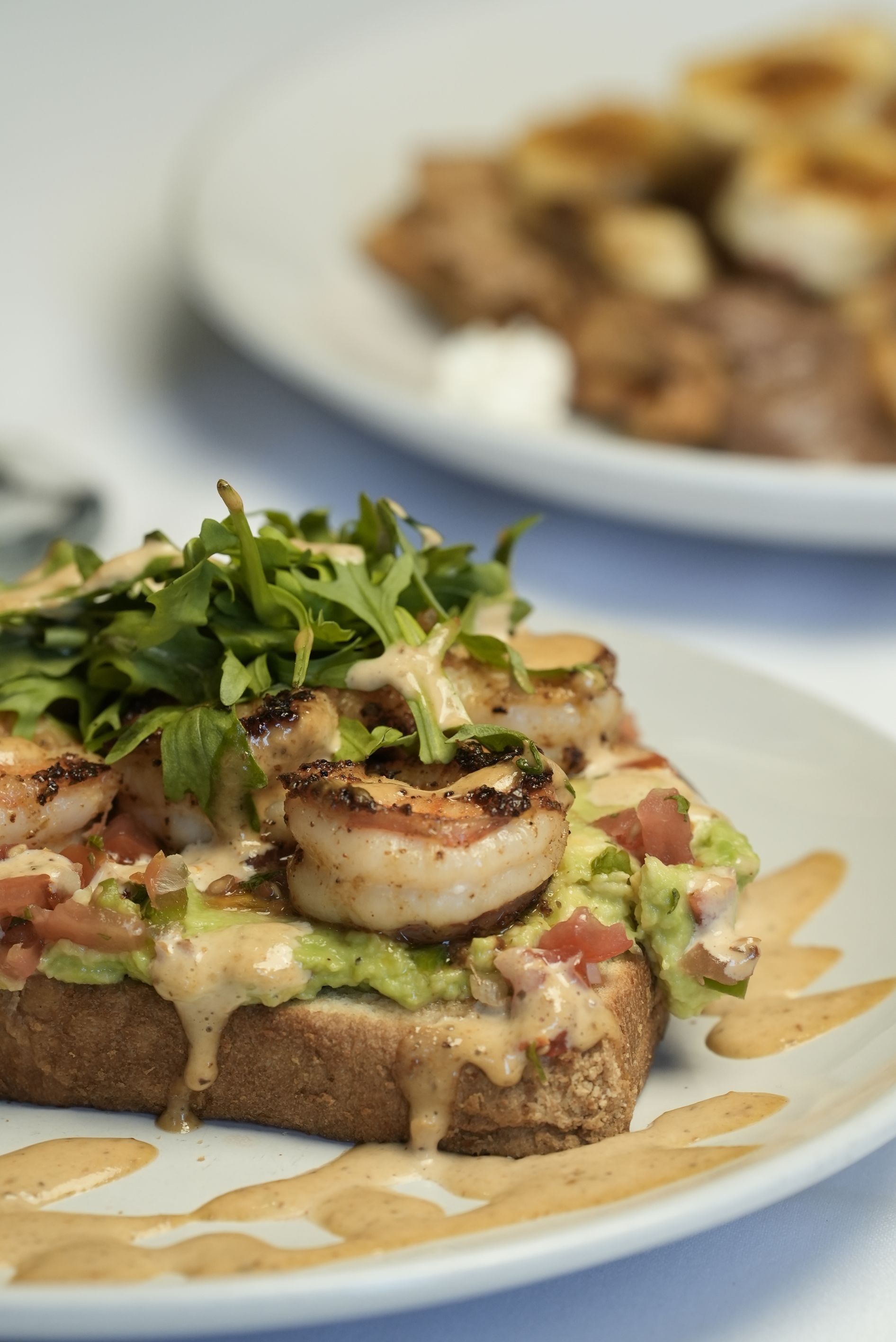 a dish of avocado toast with shrimp and arugula 