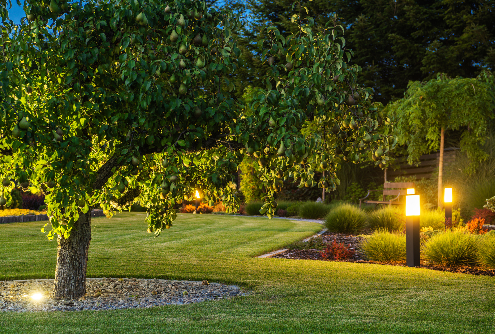Tree-lit garden path at dusk with glowing landscape lamps and green lawn