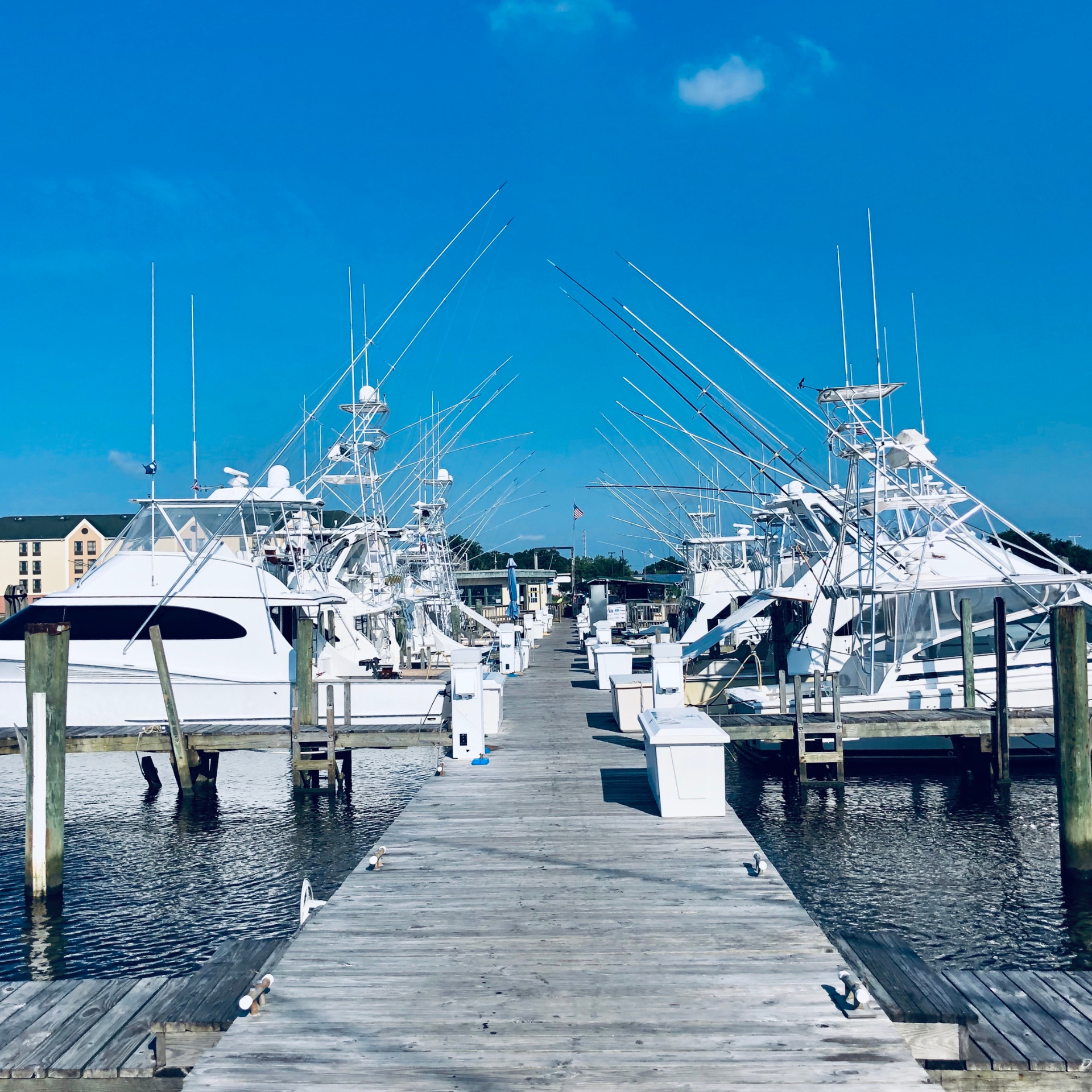 Boats are docked at a marina on a sunny day