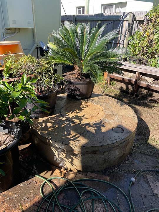 A Septic Tank Surrounded By Potted Plants — Mackay Septic Pumping In Moranbah, QLD