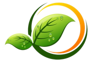 Two green leaves are surrounded by an orange circle