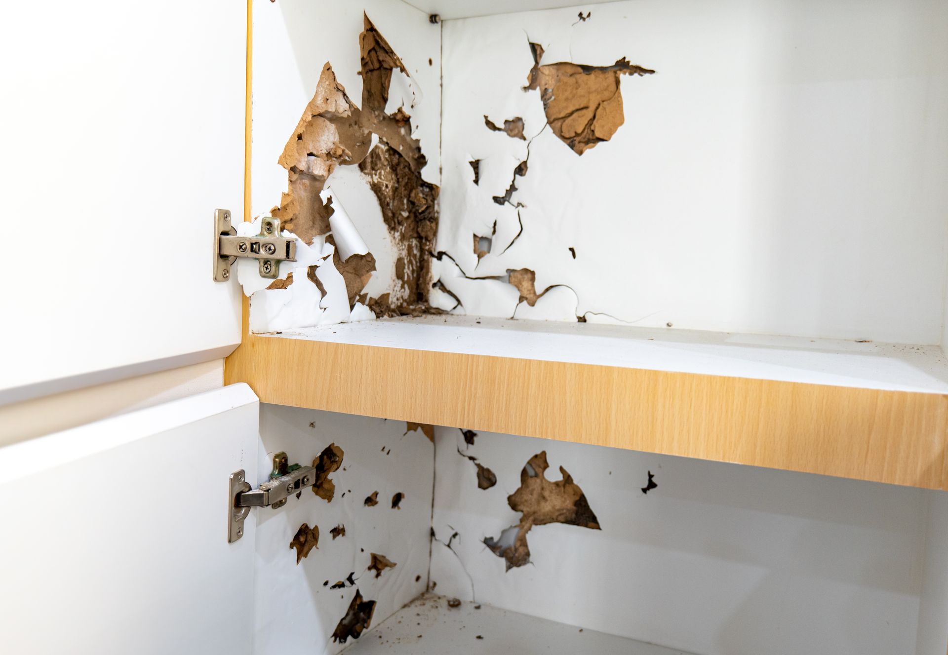 Furniture that was bitten by termites. The wood was broken because it was destroyed by termites.