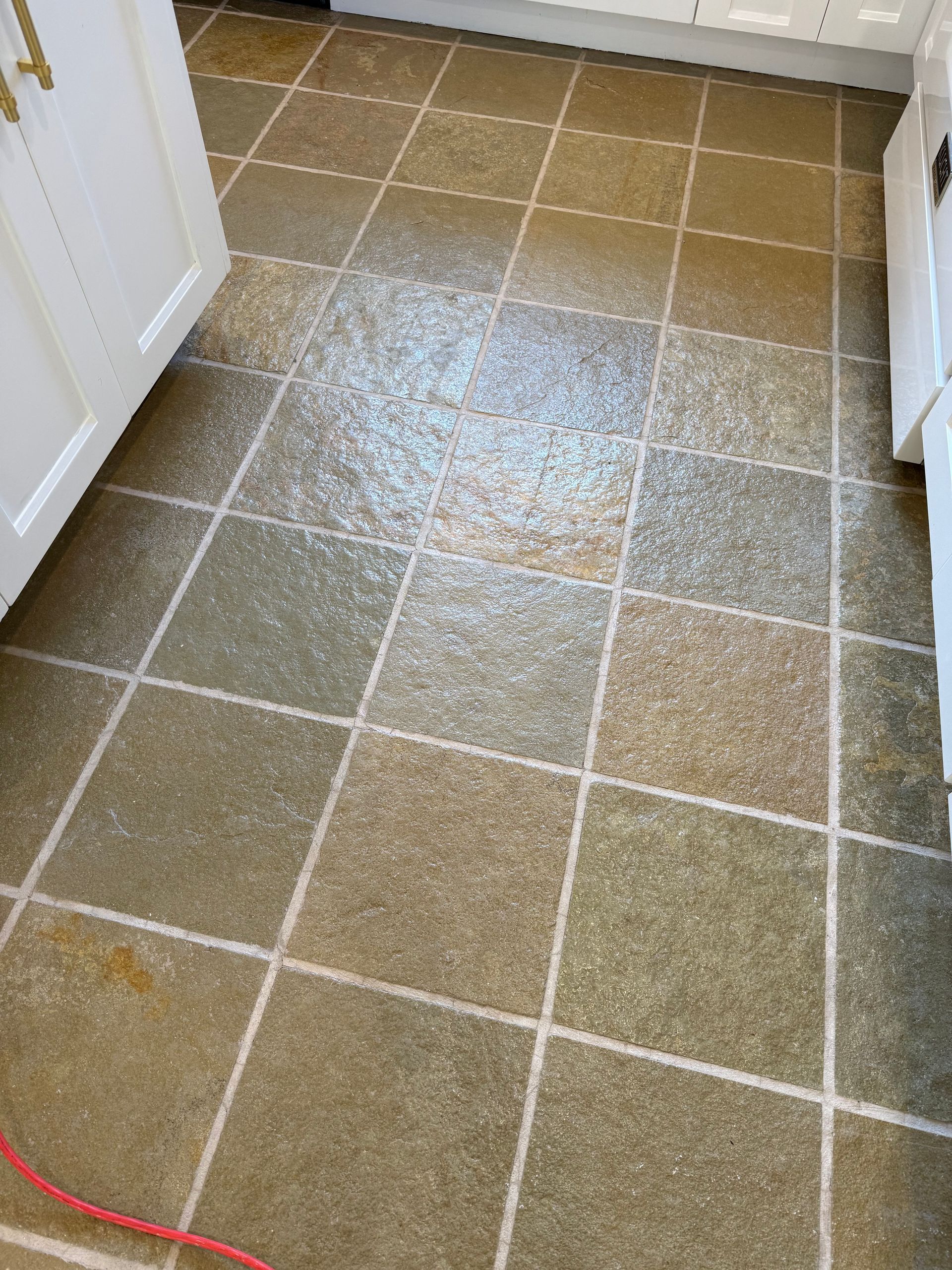 Person refinishing wooden floor with a floor sander in sunlight.