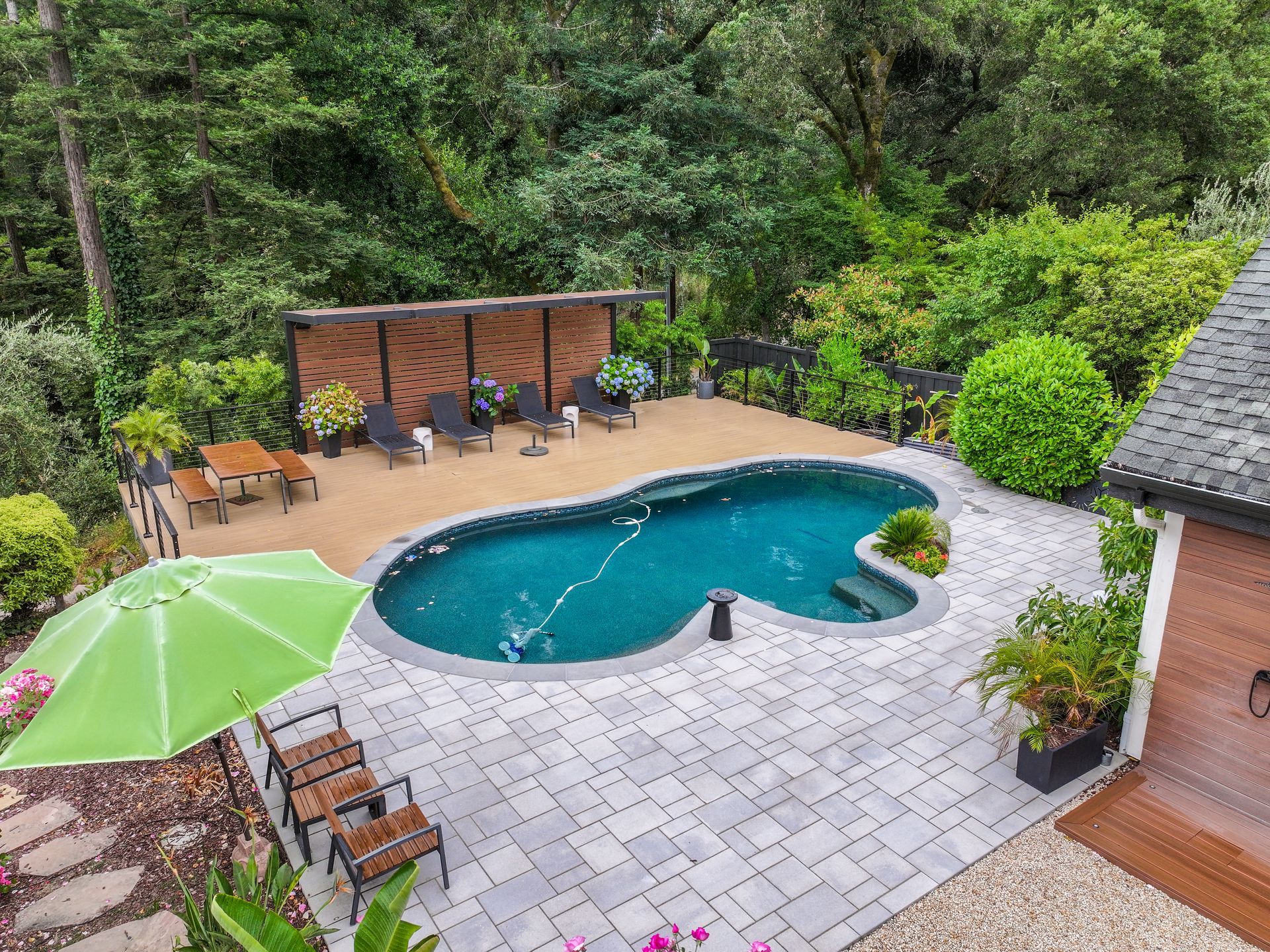 Backyard swimming pool with patio, green umbrella, lounge chairs, and lush trees surrounding it