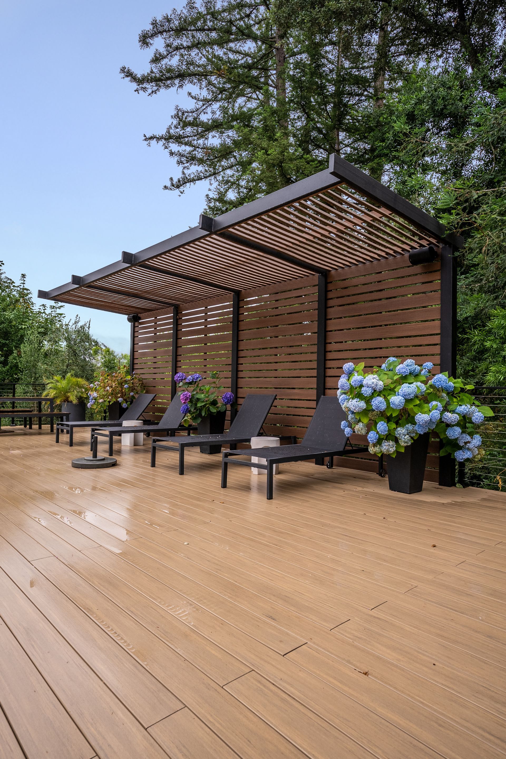 Wooden patio with lounge chairs under a pergola beside blooming hydrangeas and trees