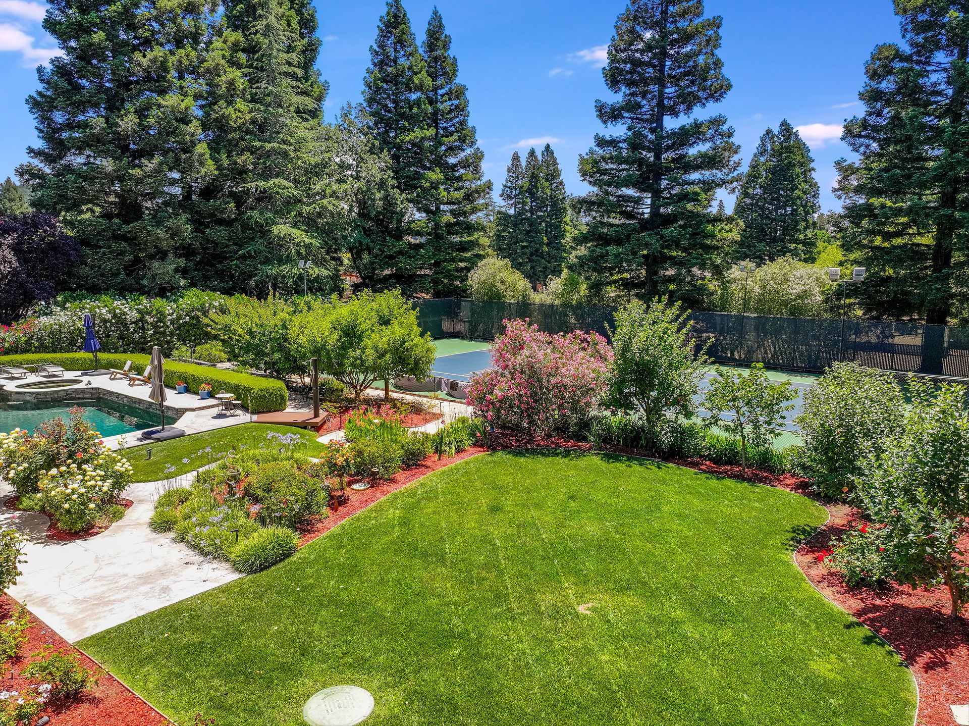 Landscaped garden with bright green lawn, flower beds, shrubs, and tall pine trees under a blue sky