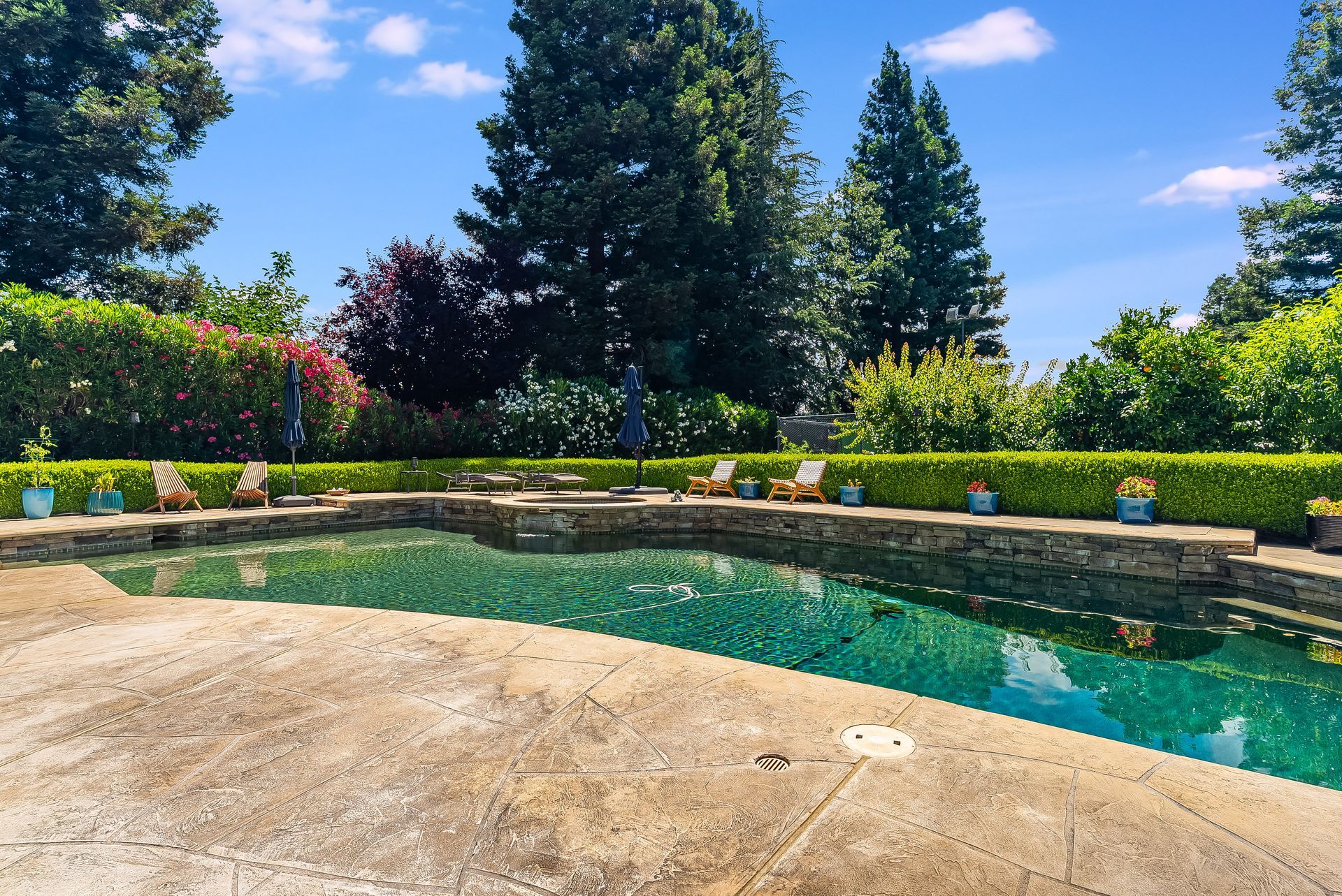 Sunny backyard pool with turquoise water, stone patio, and lush green trees under a blue sky