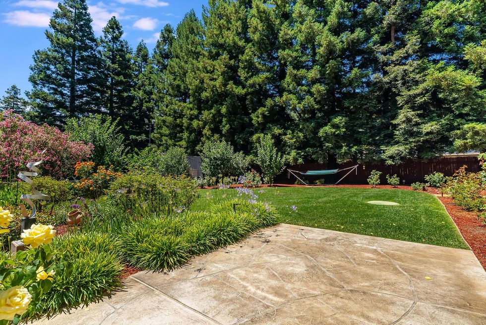 Sunny backyard patio with concrete slab, green lawn, shrubs, and tall evergreen trees