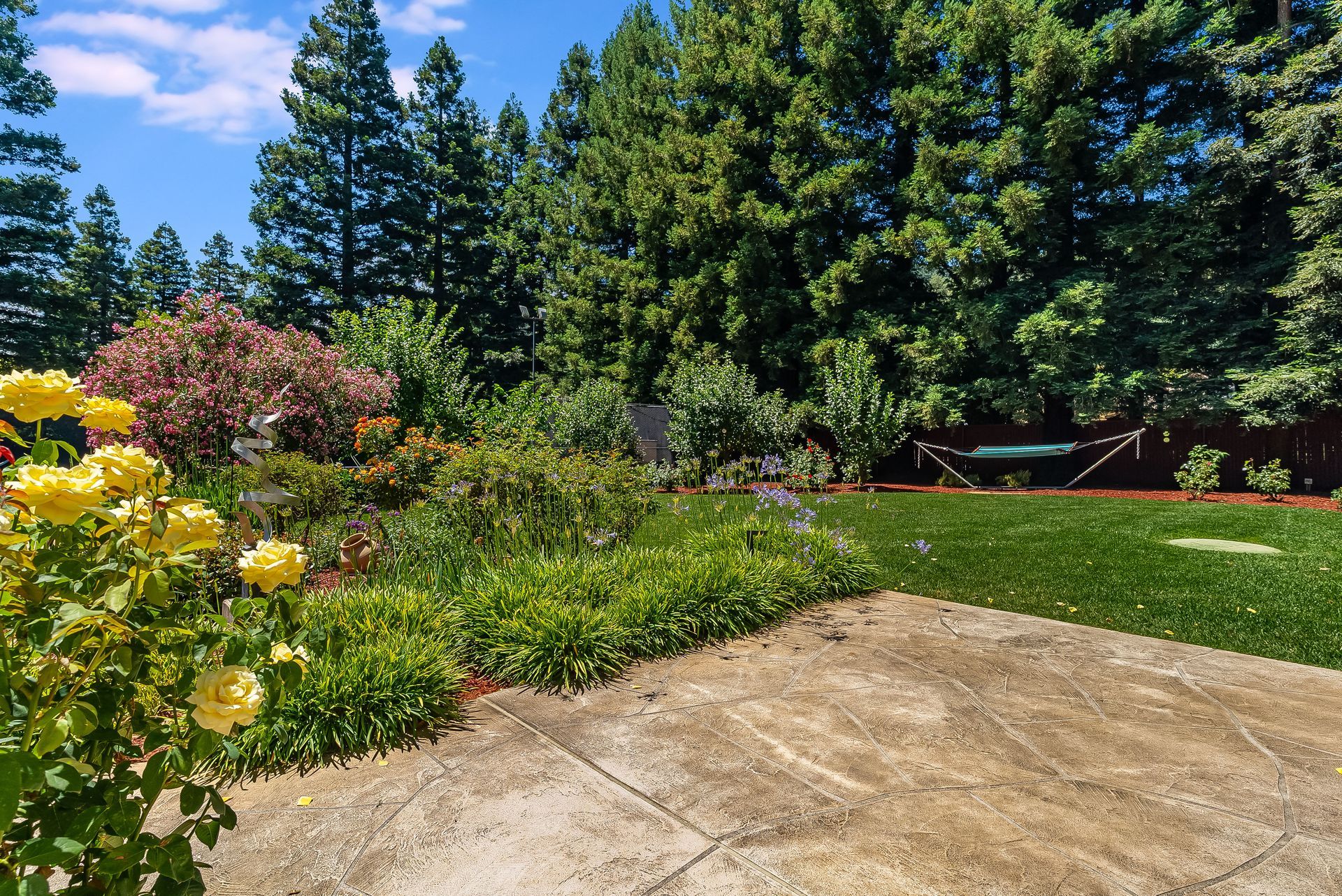 Sunlit garden with yellow flowers, green lawn, tall trees, and a patio in the foreground