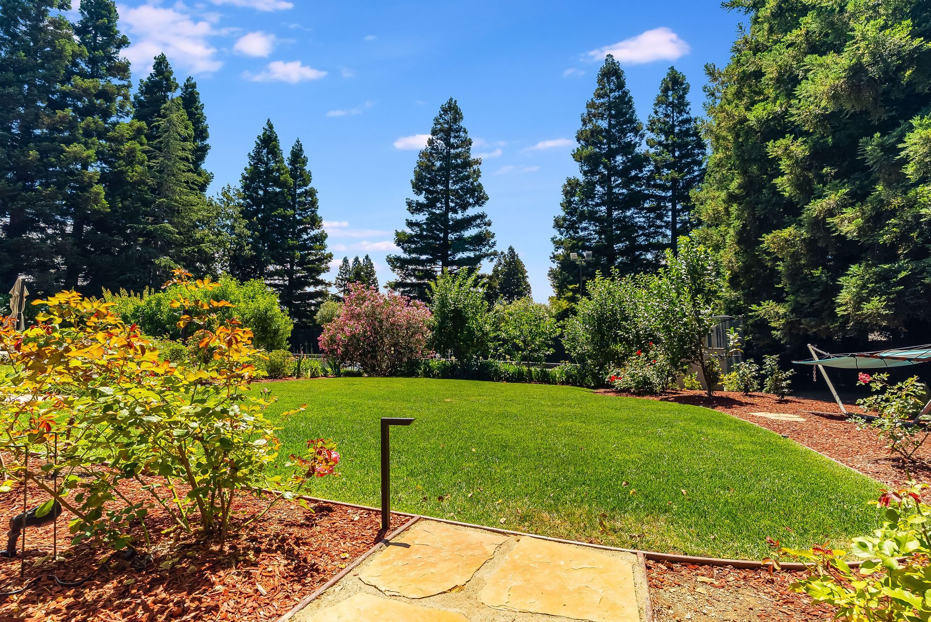 Sunny garden with green lawn, flower beds, tall trees, and a stone path under a blue sky