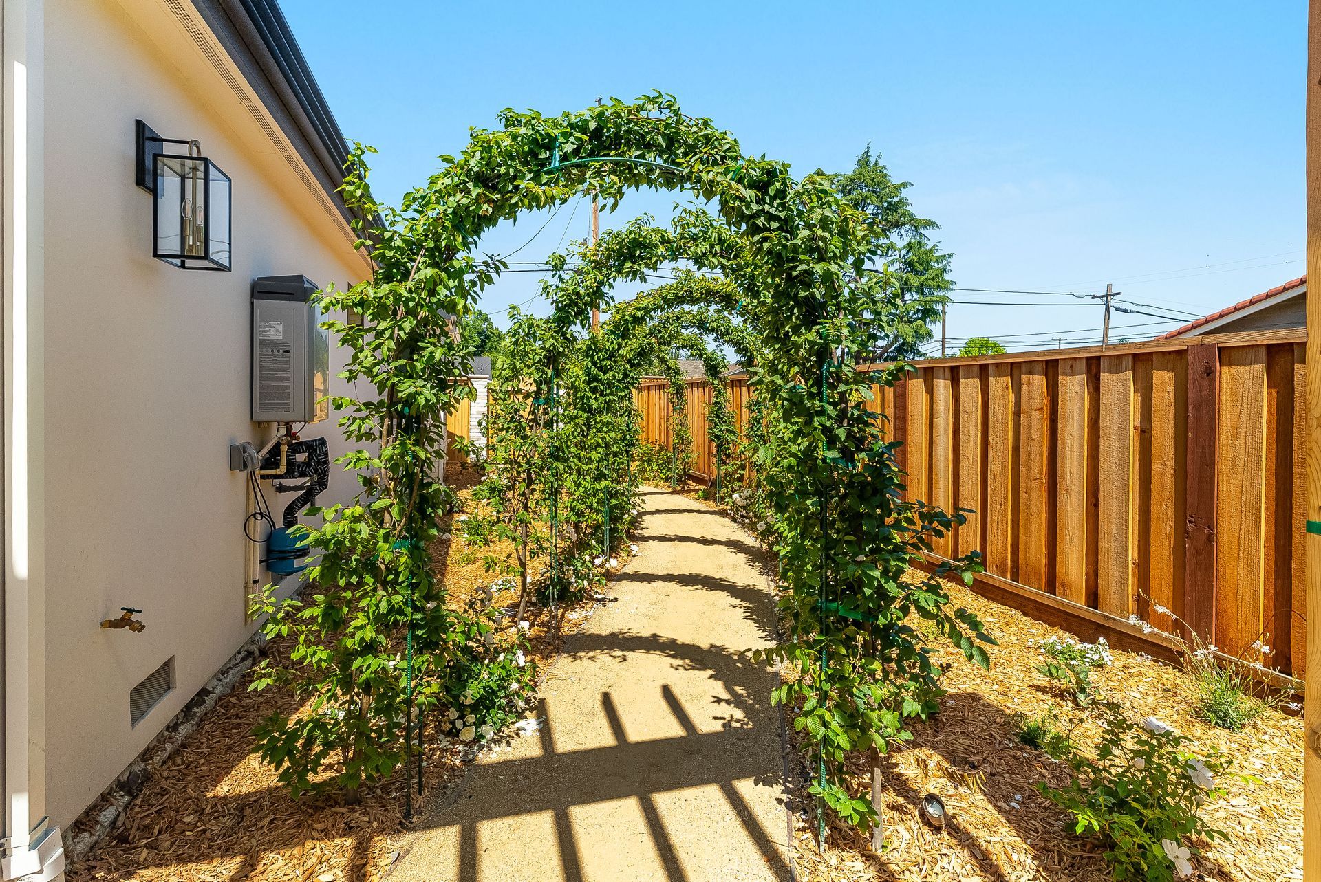 Sunny backyard garden path with vine-covered arches beside a house and wooden fence