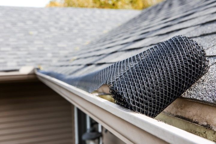 Black gutter guard mesh on a roof edge with leaves nearby