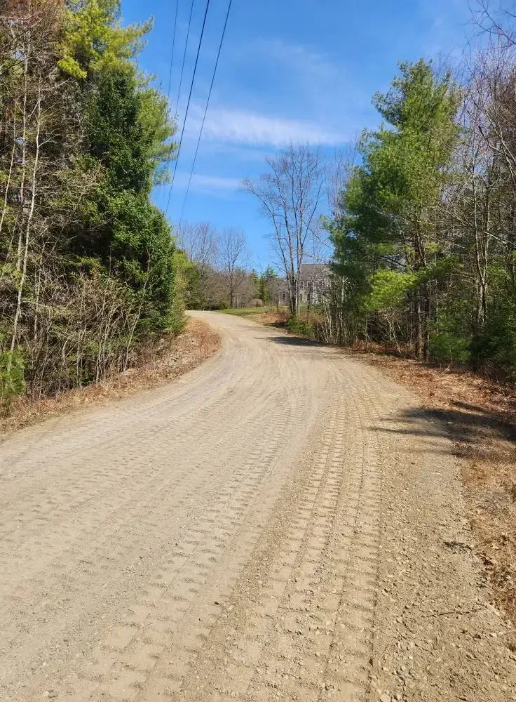 Gravel road curves through trees under a blue sky, with tire tracks visible.