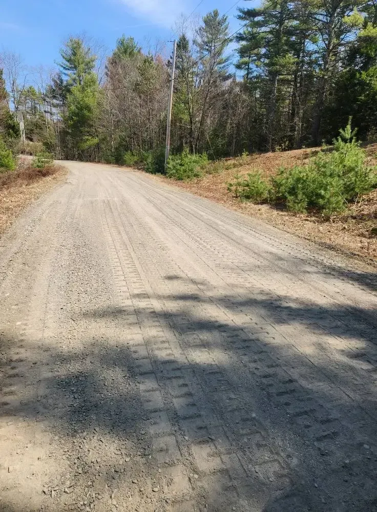 Gravel road curves through a sunny, wooded area. Tire tracks, trees, and blue sky visible.