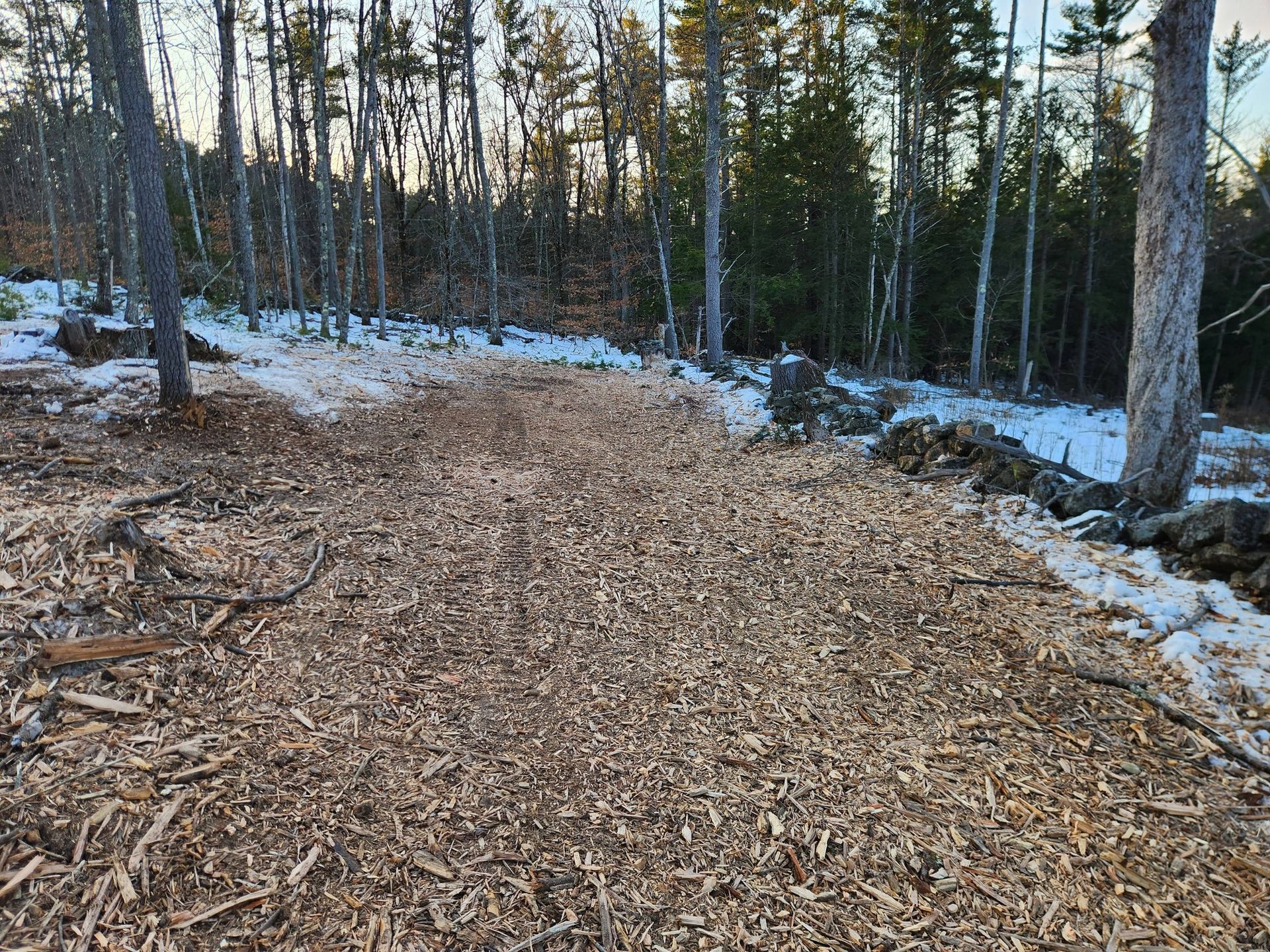 A woodland path covered in wood chips, with remnants of snow along the edges and dense trees in the background.