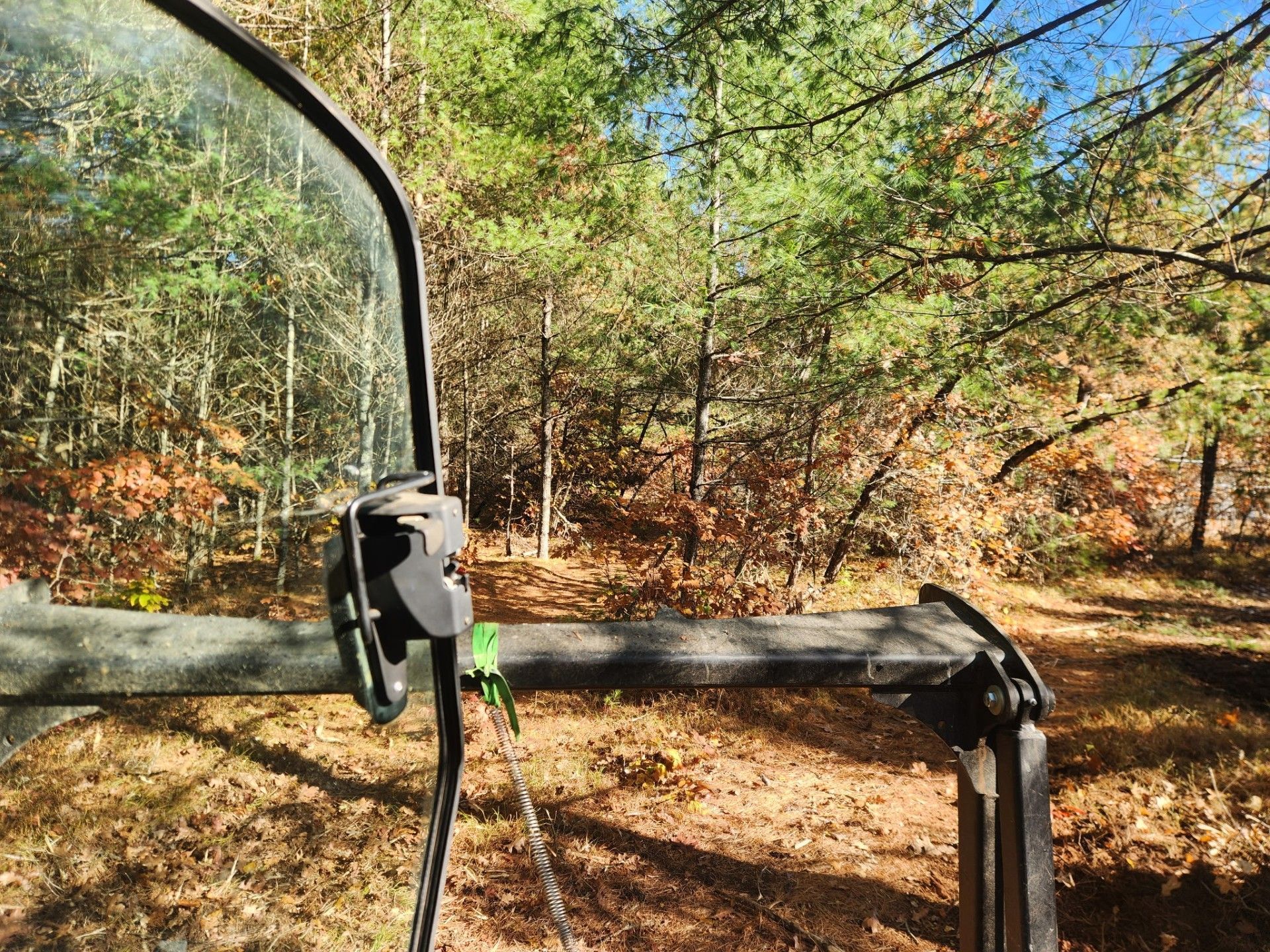 View from a vehicle window into a sunny forest with fall foliage and brown leaves.