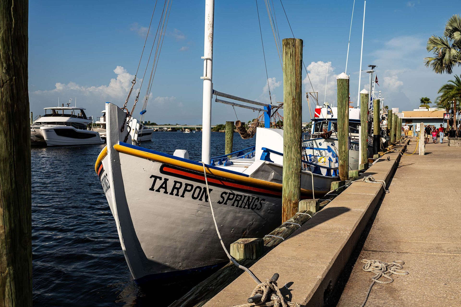 Sponge Docks Diving Boat