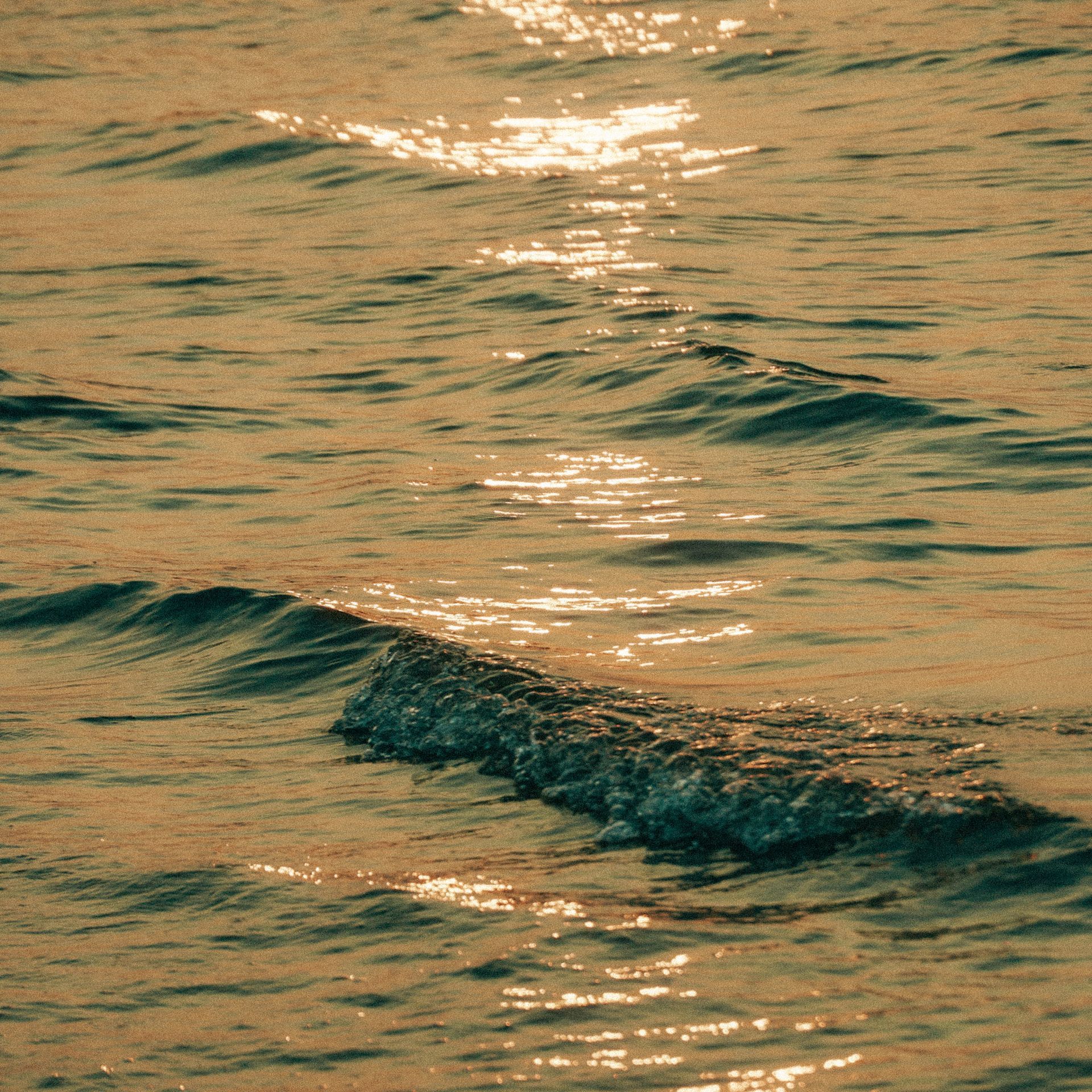 Waves on water reflecting golden sunlight.