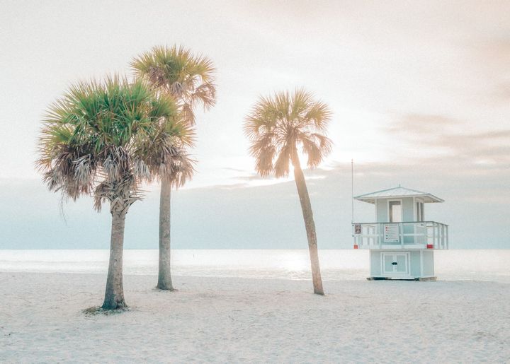 Palm trees on a white sandy beach with a lifeguard stand, backlit by the sun.