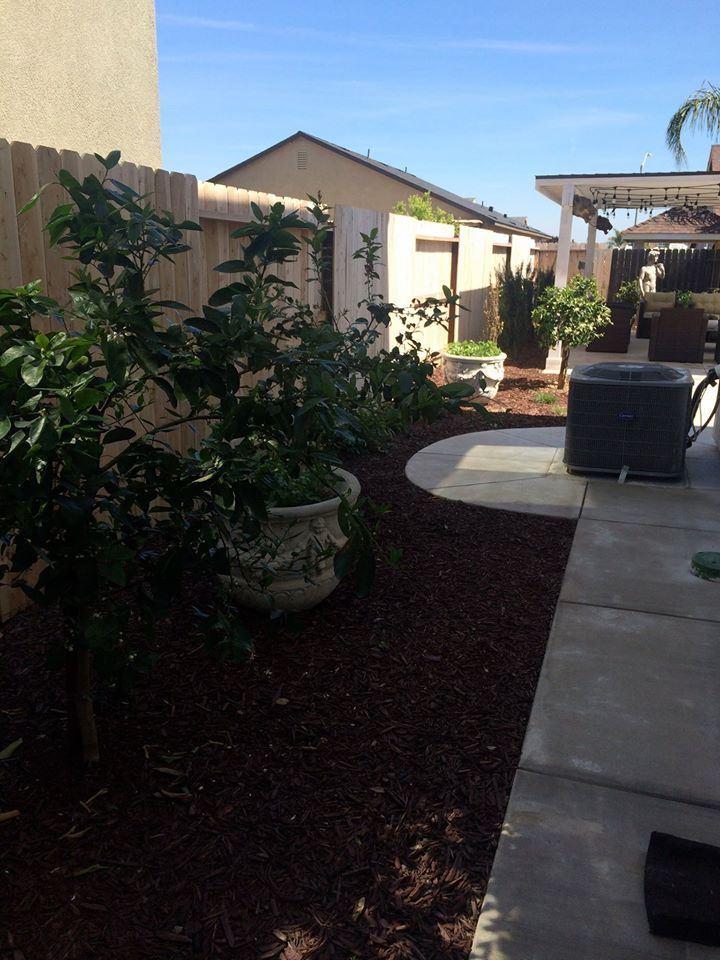 Lawncare