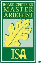Tree Removal Service Near Me