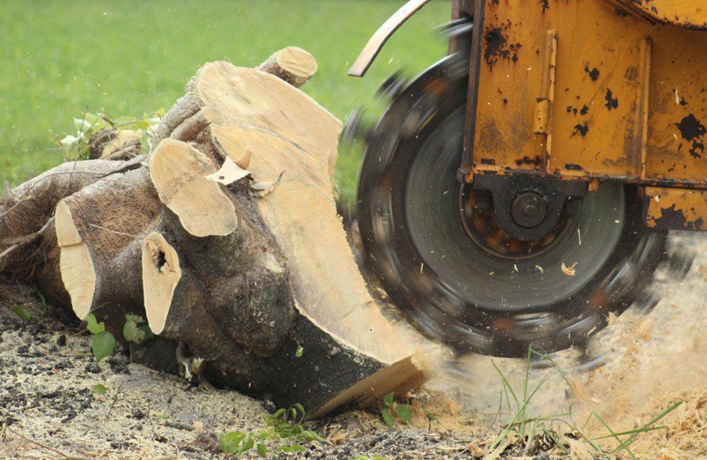 Stump Grinding