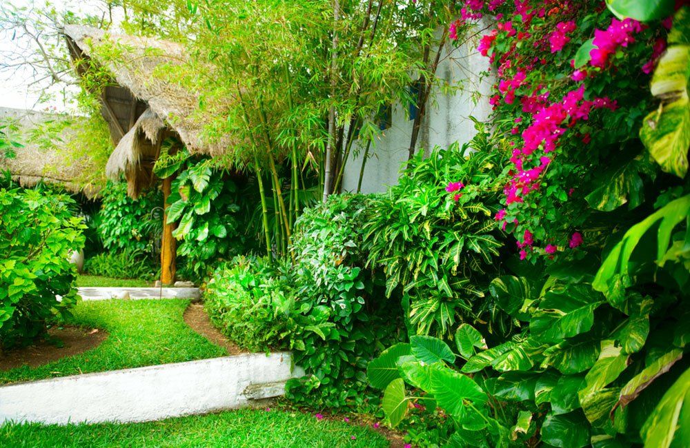 Lawncare