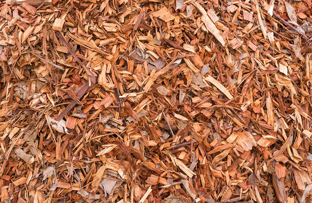 Lawncare