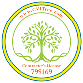 Tree Services