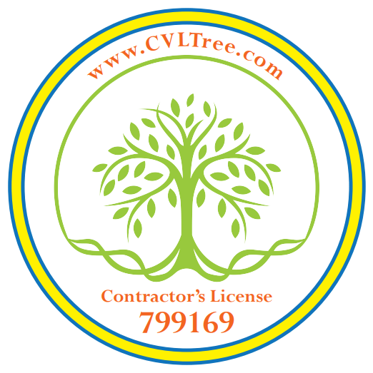 Central Valley Landscape & Tree Tree Services