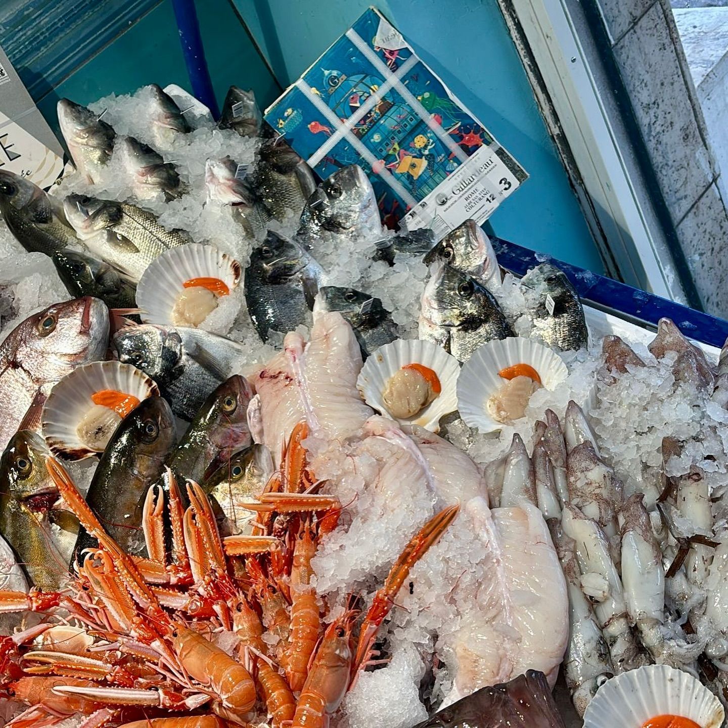 Esposizione di pesce fresco: vari tipi di pesce, gamberi, capesante e calamari su ghiaccio in un ambiente da mercato.