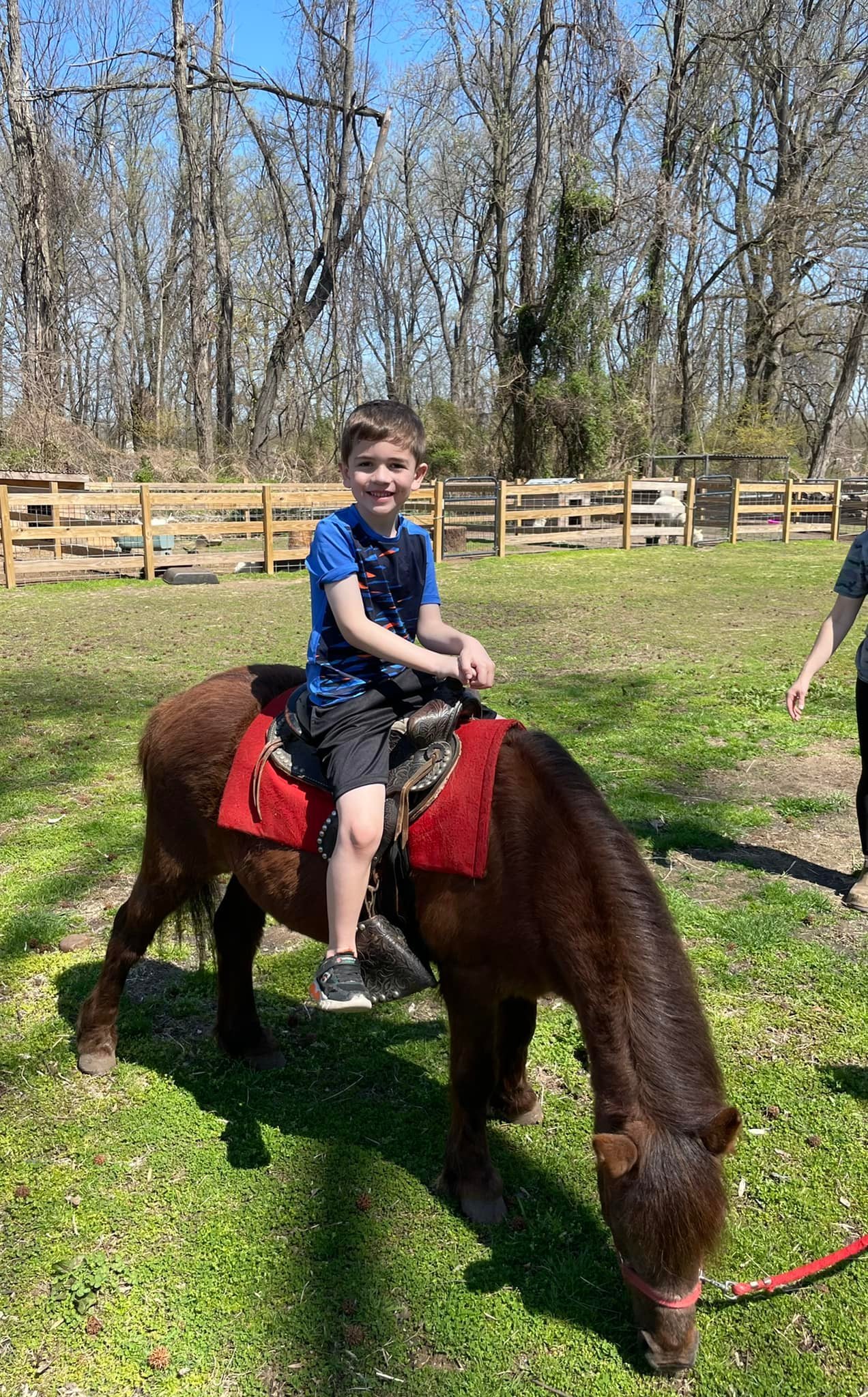 PETTING ZOO ON THE FARM