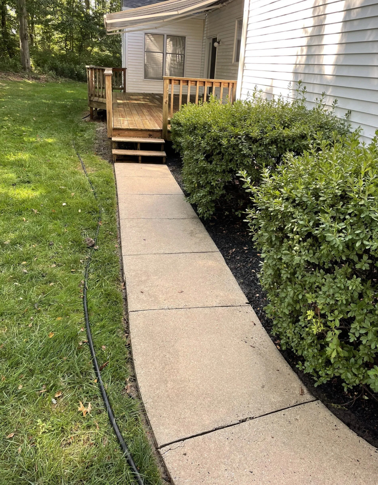 Concrete walkway leading to wooden steps, flanked by grass and bushes.