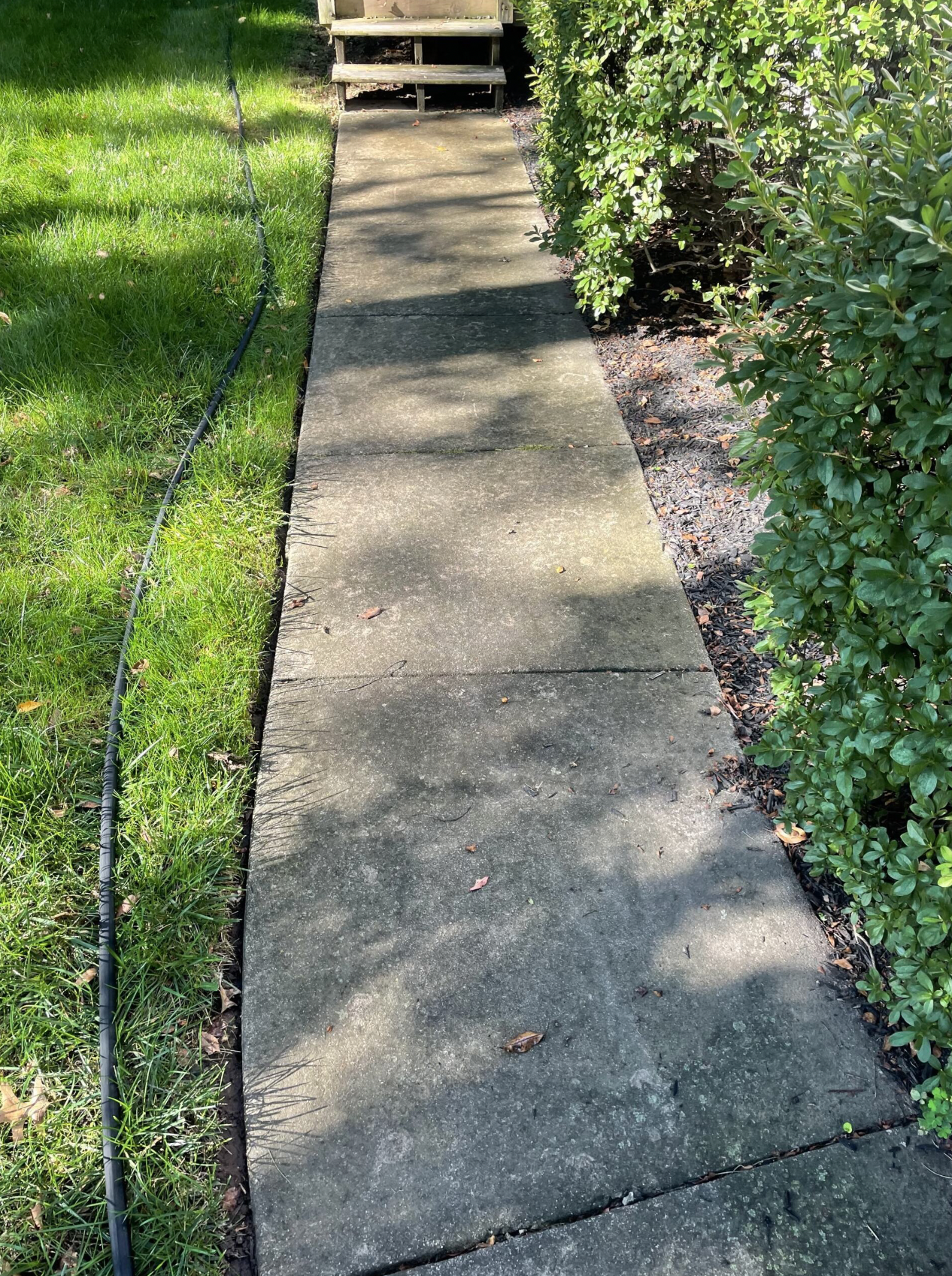 Concrete walkway leading to wooden steps, flanked by grass and bushes.