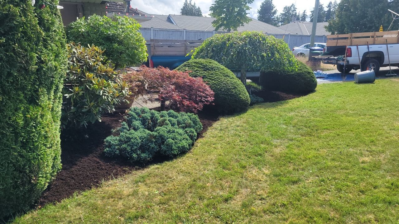 A lush green lawn with a truck parked in the background.