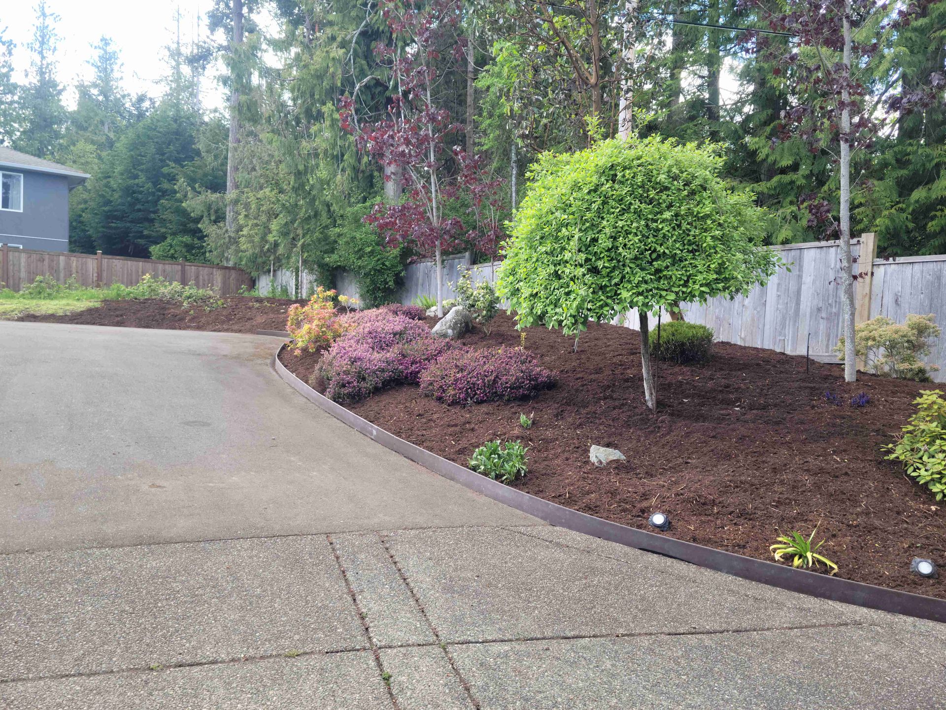A driveway with a lot of mulch and trees on the side of it.