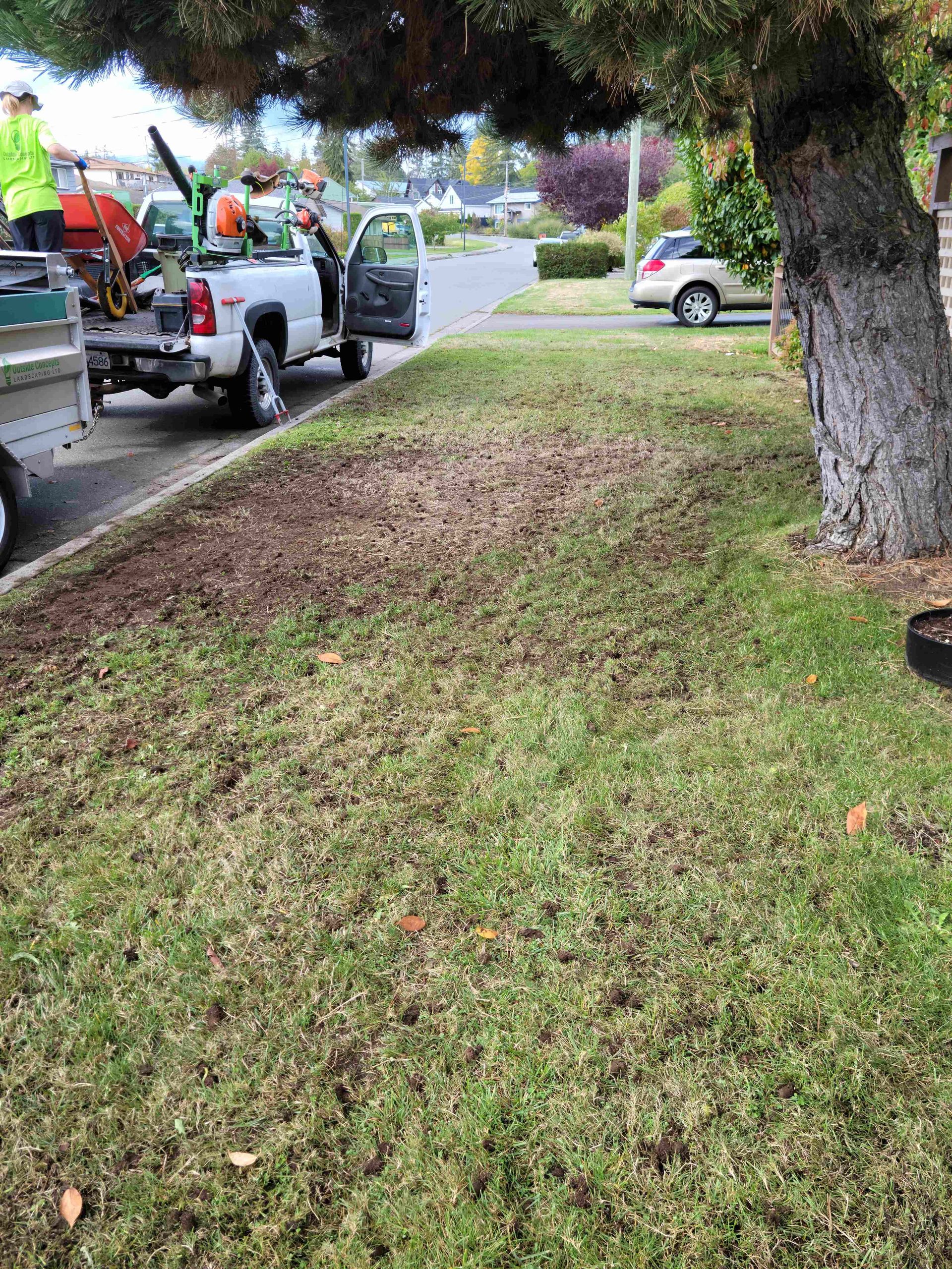 City worker on pickup truck mowing a grassy roadside under trees, with parked cars nearby