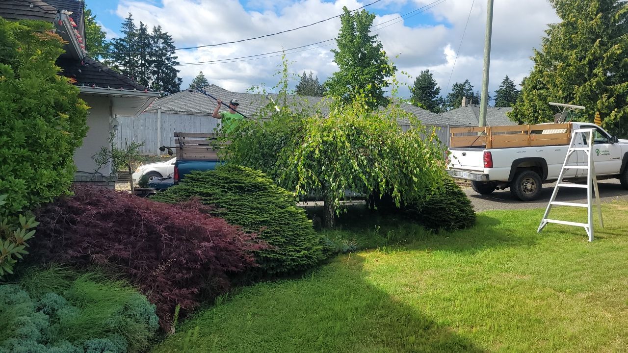 A white truck is parked in a yard next to a ladder.
